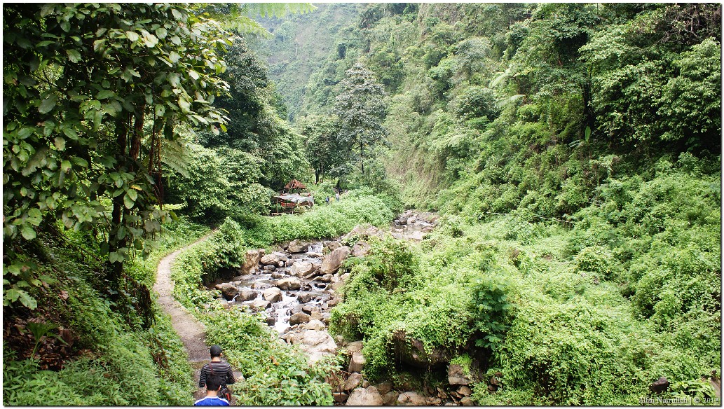 Jalan Setapak Menuju Air Terjun Madakaripura. Jalan ini ada di lereng bukit yang cukup curam. Menurut informasi, jalan setapak ini dibangun sampai ke lokasi air terjun, tetapi karena longsor, jalan setapak ini terputus di beberapa lokasi, sehingga pengunjung harus turun ke sungai melewati batu-batu besar yang ada di sungai. Persiapkan sandal yang nyaman untuk berjalan diatas bebatuan. Beberapa kali saya harus melepas sandal karena untuk merasakan tingkat kelicinan batu ketika berpijak ke batu-batu tersebut ketika susur sungai.