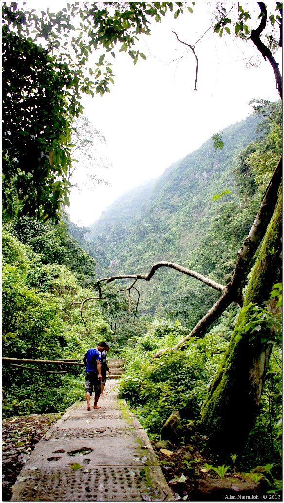 Jalan setapak di lereng bukit menuju Air Terjun. Pada saat saya berkunjung, suasana pengunjungnya tidak terlalu rame juga tidak terlalu sepi. Saya rasa masih ideal untuk menikmati keindahan alam, karena sepertinya kurang menarik jika ke alam tapi pengunjungnya terlalu padat.